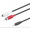 WIR327 CONEXION AUDIO JACK 3.5ST/M A 2RCA/M 2.5M