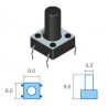 VIDEO MICRO-SWITCH SW066