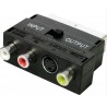 Adapter EURO-3RCA F + SVHS F IN/OUT CON108