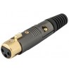 CON240 CONECTOR XLR-CANON H AEREO DORADO