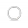 CIRCULAR TUBE T9, 32W, DAYLIGHT, 2600028