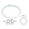 22W FLUORESCENT CIRCULAR TUBE 2600027