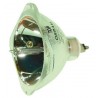 LAMP PVIP10012010E198 120W Bulb for KDFE50A11E