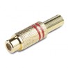 CONECTOR RCA H ROJO METAL ORO 53020 