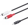 Connection AUDIO JACK 3,5 ST/M  2 RCA  M 1,5M WIR326